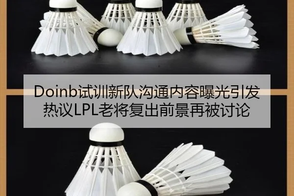 Doinb试训新队沟通内容曝光引发热议LPL老将复出前景再被讨论